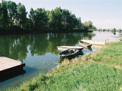 bords de loire néga001