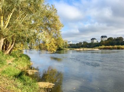 La Loire 6