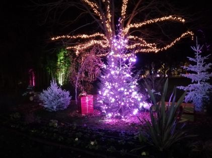 La magie de Noël s'installe à Saint-Cyr (décembre 2020)