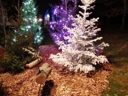 La magie de Noël s'installe à Saint-Cyr (décembre 2020)