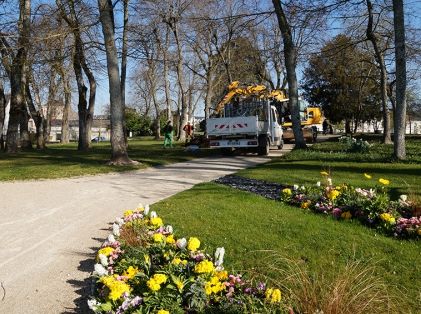 Plantation liquidambar 22-03-19 11