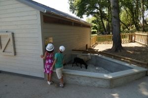 Ferme pedagogique